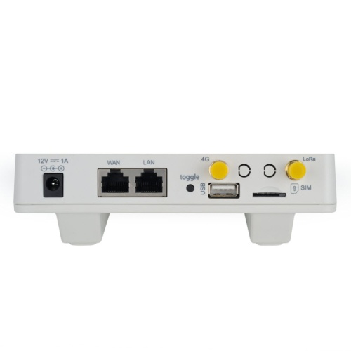 DRAGINO LG308N 4G Gateway for Malaysia